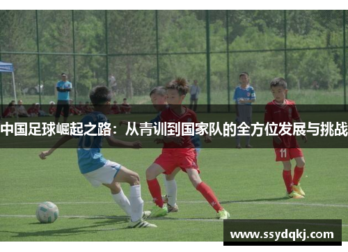 中国足球崛起之路：从青训到国家队的全方位发展与挑战