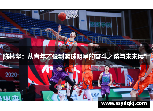 陈林坚：从青年才俊到篮球明星的奋斗之路与未来展望