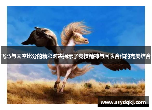飞马与天空比分的精彩对决揭示了竞技精神与团队合作的完美结合